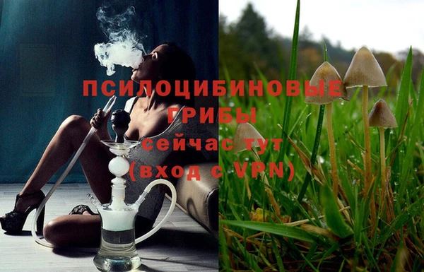 ПСИЛОЦИБИНОВЫЕ ГРИБЫ Баксан