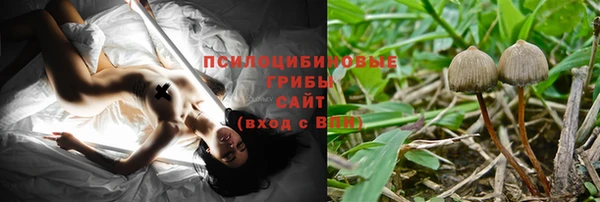 ПСИЛОЦИБИНОВЫЕ ГРИБЫ Баксан