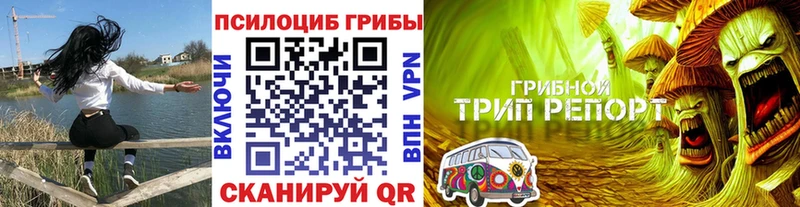 Галлюциногенные грибы MAGIC MUSHROOMS блэк спрут Заинск